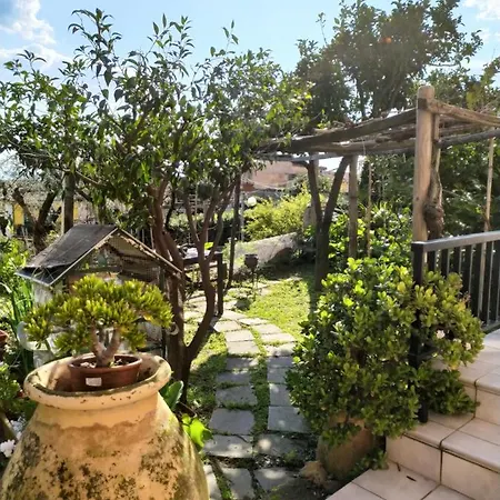 I Tetti Sul Mare Guest house 3*